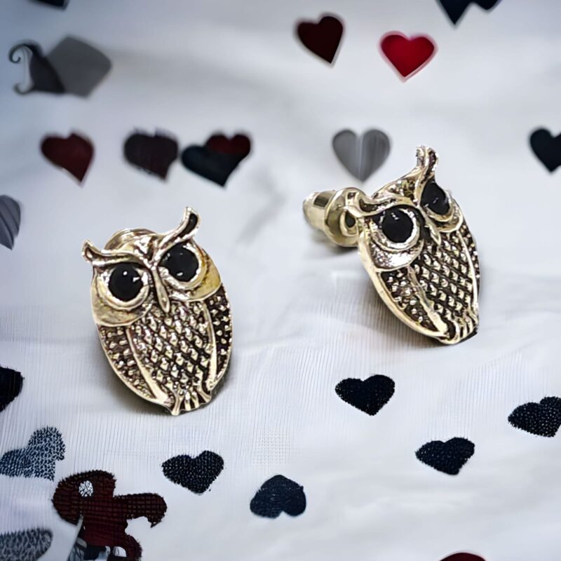 Black Eyes Owls Earring for Girls & Women Pack Of 1 Pair